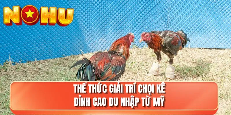 Thể thức giải trí chọi đỉnh cao du nhập từ Mỹ